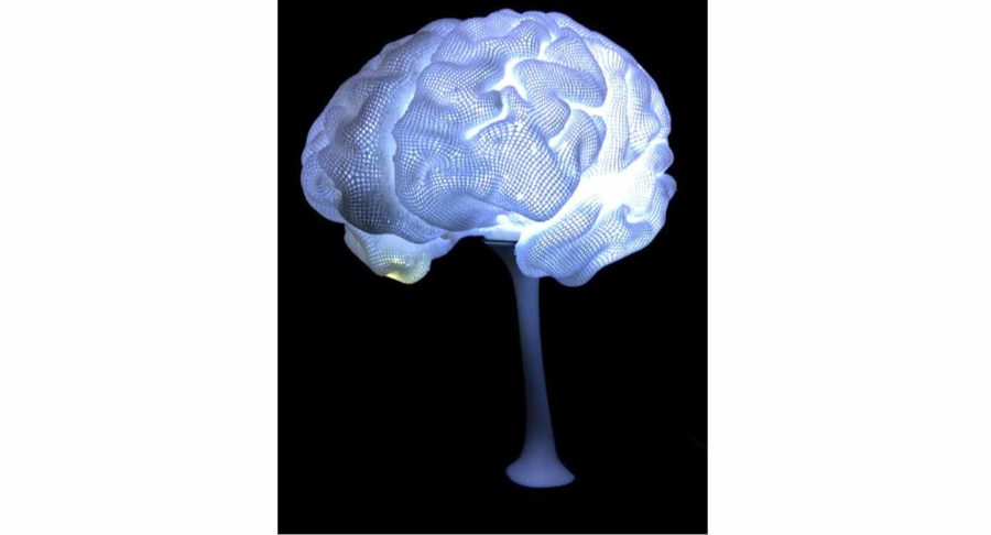 Şairler ve düşünürler için beyin lambası (Görsel kaynağı: cc3psae/myminifactory)